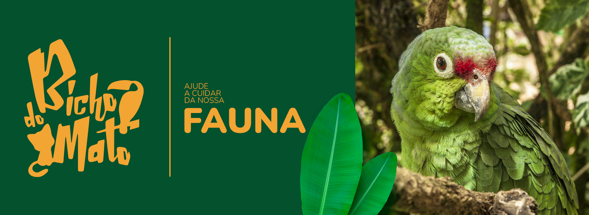 Ajude a Cuidar da Nossa Fauna - Bicho do Mato